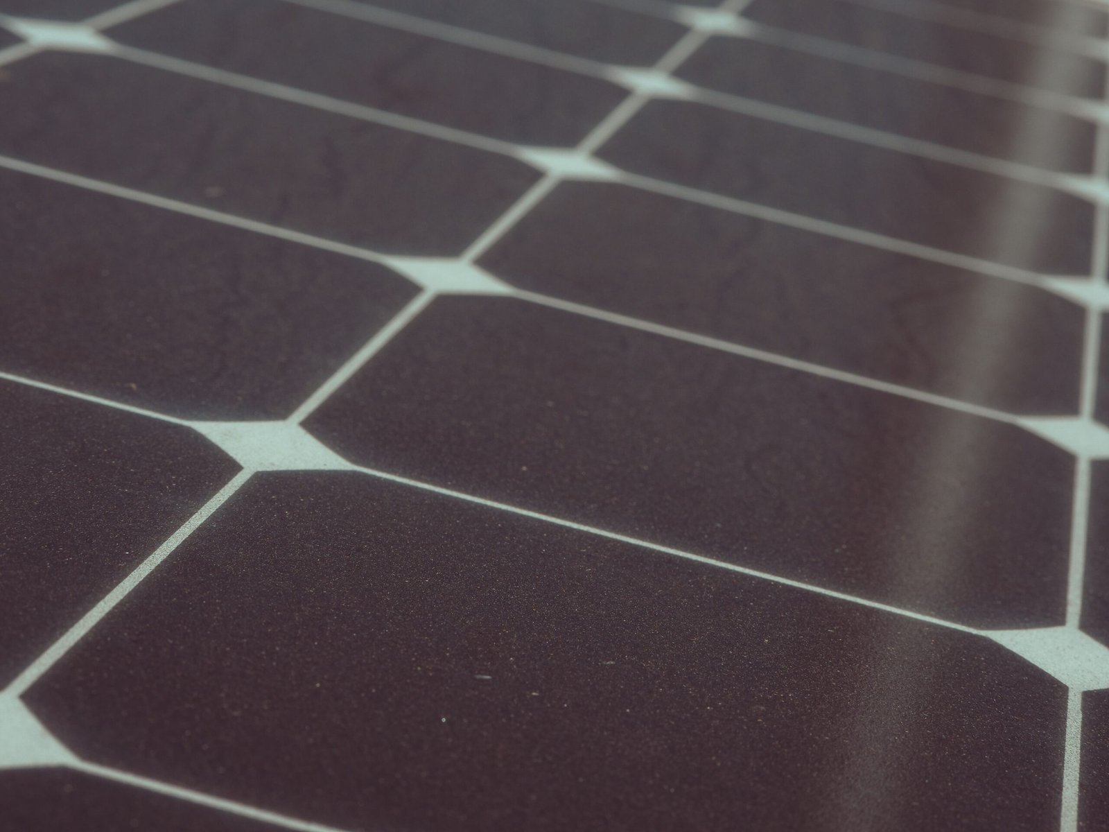 Vue rapprochée de cellules photovoltaïques d'un panneau solaire