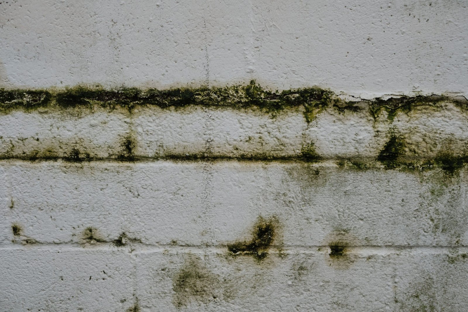Mur en pierre d'un bâtiment ancien, typique des maisons sujettes aux remontées capillaires